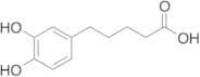 5-(3,4-dihydroxyphenyl)pentanoic Acid