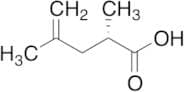 (2S)-2,4-Dimethyl-4-pentenoic Acid