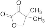 4,4-Dimethyldihydrofuran-2,3-dione