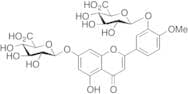 Diosmetin 3’,7-Diglucuronide (>85%)