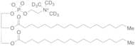 1,2-Distearoyl-sn-glycero-3-phosphocholine-d9