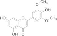 5,7-Dihydroxy-2-(4-hydroxy-3,5-dimethoxyphenyl)-5,6-dihydro-4H-chromen-4-one