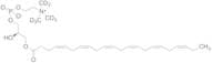 1-Docosahexaenoyl-sn-glycero-3-phosphocholine-d9