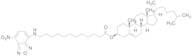 3-Dodecanoyl-NBD Cholesterol
