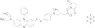 3-(Diethylamino)-7-[2-[4-[[4-[(2,5-dioxo-1-pyrrolidinyl)oxy]-4-oxobutyl]methylamino]phenyl]diazeny…