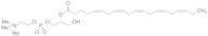 2-Eicosapentaenoyl-sn-glycerol-3-phosphocholine