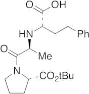 Enalaprilat tert-Butyl Ester