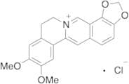 Epiberberine Chloride