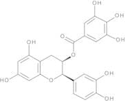 (-)-Epicatechin Gallate
