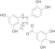 (-)-Epicatechin Gallate-13C3