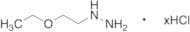 (2-ethoxyethyl)hydrazine xHCl salt
