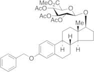 17β-Estradiol 3-O-Benzyl 17-(2,3,4-Tri-O-acetyl-β-D-glucuronide Methyl Ester)