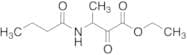 Ethyl 3-(Butanoylamino)-2-oxobutanoate