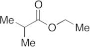 Ethyl Isobutyrate