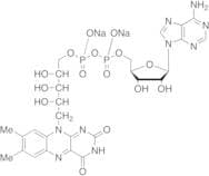 Flavine Adenine Dinucleotide Disodium Salt