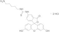 Fluorescein-Cadaverine Dihydrochloride