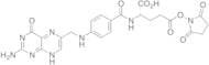 Folic Acid NHS Ester (γ : α =2 :1)