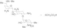 Gentamicin C1 Pentaacetate Salt