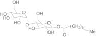 4-O-α-D-Glucopyranosyl-β-D-glucopyranose-1-decanoate