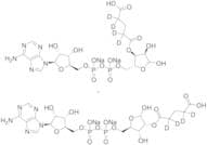 2'/3'-O-Glutaryl-D4 ADP Ribose Disodium Salt (Regioisomeric Mixture)