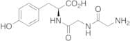 Glycylglycyl-L-tyrosine