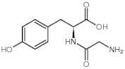Glycyl-L-tyrosine