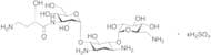 3’’-HABA Kanamycin A Sulfate