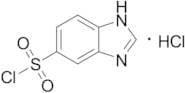 1h-1,3-benzodiazole-5-sulfonyl Chloride Hydrochloride