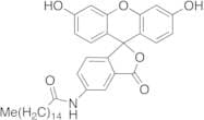 5-(Hexadecanoylamino)fluorescein