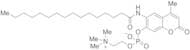 6-Hexadecanoylamino-4-methylumbelliferyl Phosphorylcholine