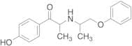 1-(4-Hydroxyphenyl)-2-[(1-phenoxypropan-2-yl)amino]propan-1-one