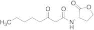 N-3-oxo-octanoyl-L-Homoserine lactone