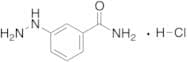 3-Hydrazinylbenzamide Monohydrochloride