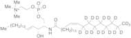 (7S,23Z)-4-hydroxy-7-[(1R,2E)-1-hydroxy-2-hexadecen-1-yl]-N,N,N-trimethyl-9-oxo-3,5-dioxa-8-aza-4-…