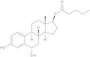 6α-Hydroxy-17β-estradiol 17-Valerate