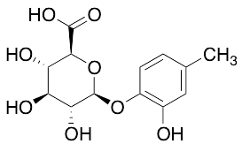 2-Hydroxy-4-methylphenyl β-D-glucopyranosiduronic Acid