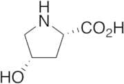 cis-4-Hydroxy-L-proline