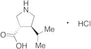 (±)-trans-4-Isopropylpyrrolidine-3-carboxylic Acid Hydrochloride