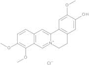 Jatrorrhizine Chloride
