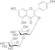 Kaempferol 3-β-Sophoroside