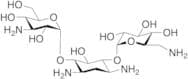Kanamycin A Deuterated (>90%)