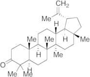 Lupenone (1 mg/mL in Ethyl Acetate)