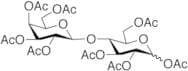 Lactose Octaacetate