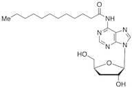 N6-Lauroyl Cordycepin
