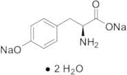 L-Tyrosine Disodium Salt Dihydrate