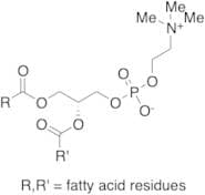 Lecithin (Technical Grade)
