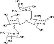 Lewis Y Tetrasaccharide