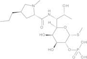 Lincomycin 2-Phosphate
