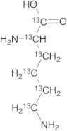 DL-Lysine·2HCl (13C6)