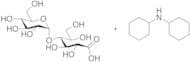 Maltobionic Acid Dicyclohexylammonium Salt